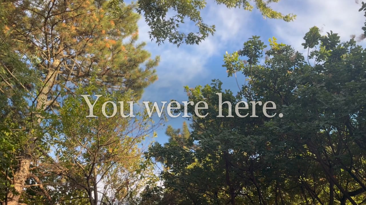 A frame from the film: trees against a summer sky, the words You were here.